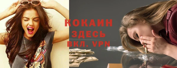 хмурый Белокуриха