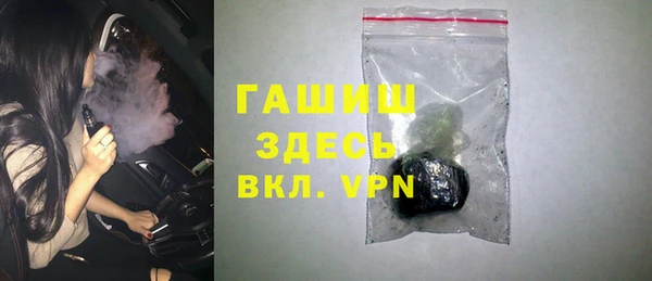 хмурый Белокуриха