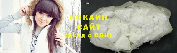 хмурый Белокуриха