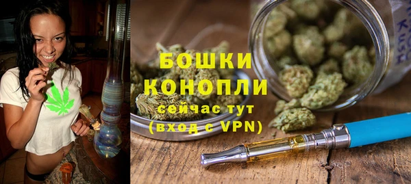 хмурый Белокуриха