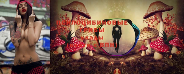 хмурый Белокуриха